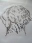 Preview: Traum Weimaraner Hund Black Diamond Strass Hotfix Hotglue Bügelbild Bügelmotiv