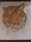 Preview: Riesen Tiger Kopf Bügelbild Strass !Der Hammer! Tiger Kopf Hotfix Hotglue Bügelmotiv Bügelbild Shirt
