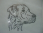 Preview: Rhodesian Ridgeback Hund Hundeschule Strass Hotfix Hotglue Bügelbild Bügelmotiv