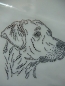 Preview: Rhodesian Ridgeback Hund Hundeschule Strass Hotfix Hotglue Bügelbild Bügelmotiv