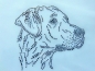 Preview: Rhodesian Ridgeback Hund Hundeschule Strass Hotfix Hotglue Bügelbild Bügelmotiv