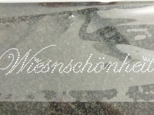 Wiesn Schönheit Wiesnschönheit Schriftzug Oktoberfest  Strass Hotfix Bügelbild