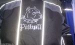 Pitbull Hund Hundeschule Hundesofa Jacke Shirt Hotglue Hotfix Bügelbild Strass