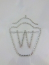 Brandzeichen Westfalen Schabracke Hotfix Hotglue Strass