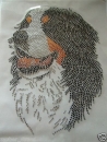 Berner Sennenhund  Bernersennen Hund Strass Hotfix Hotglue Bügelbild Bügelmotiv